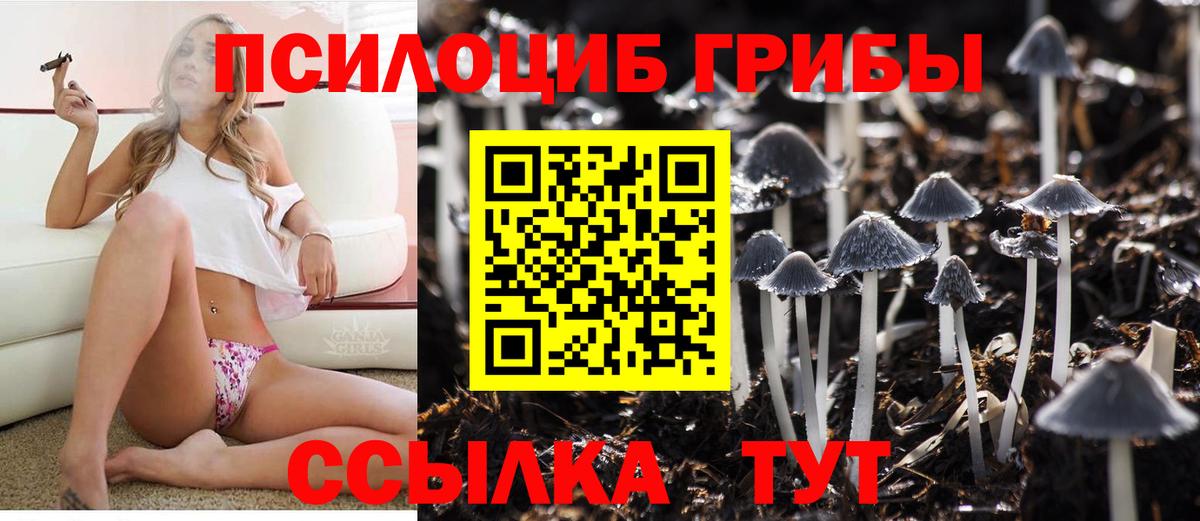 Галлюциногенные грибы GOLDEN TEACHER Юрга