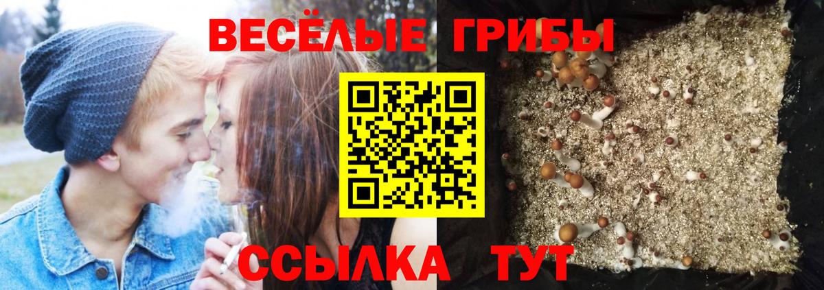 Галлюциногенные грибы мицелий  где купить наркотик  Юрга  Вход с VPN 
